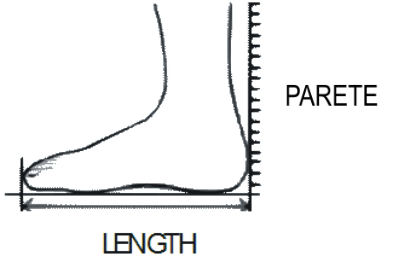 How to measure foot length