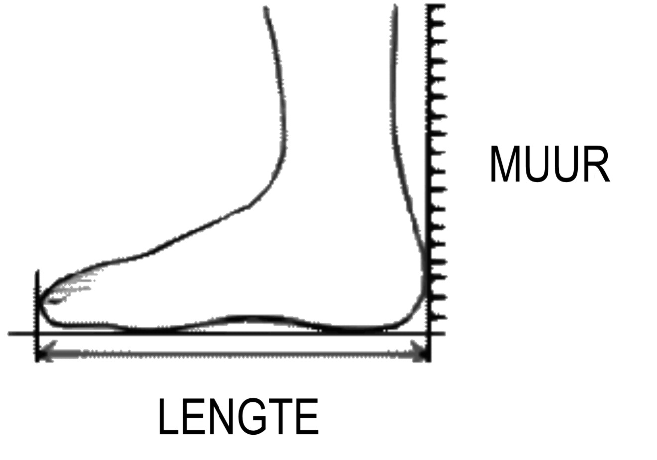 How to measure foot length